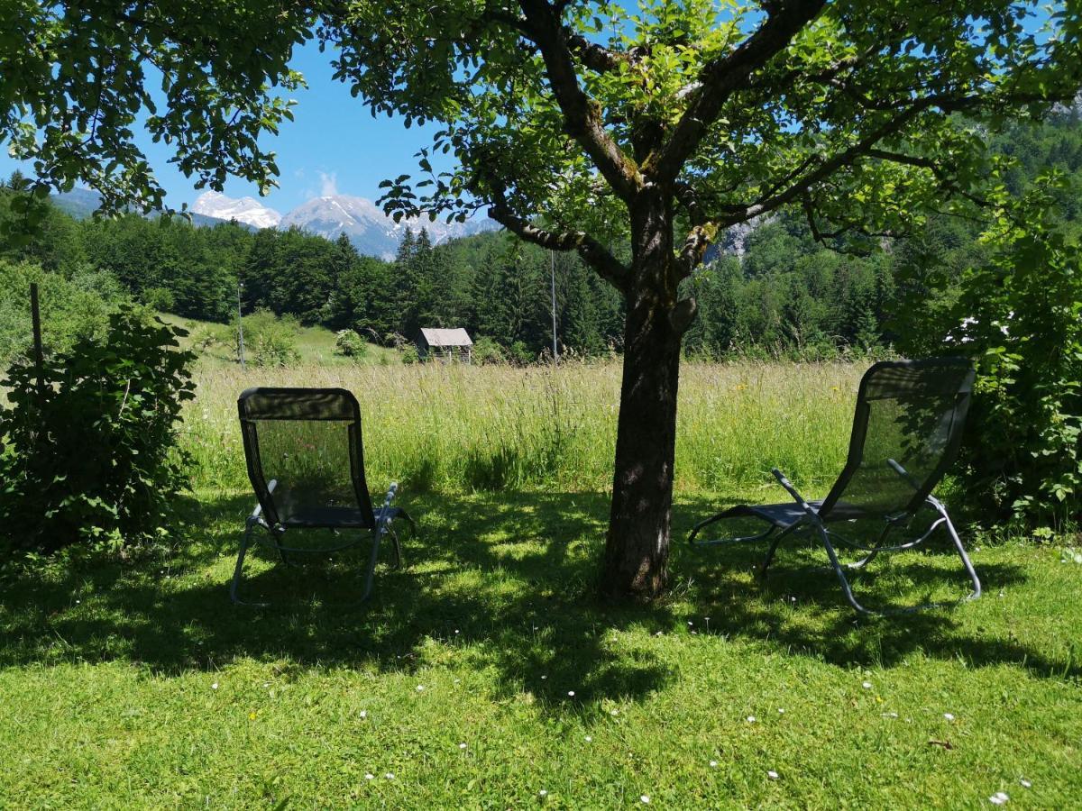 Apartmaji Prezelj Bohinj Exterior photo